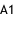 A1